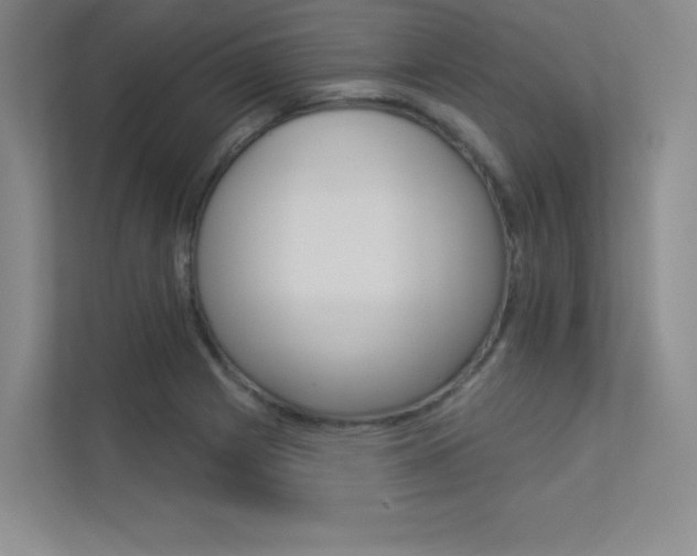 X0000113361225200909151000