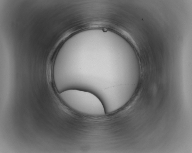 X0000113361227200909151000