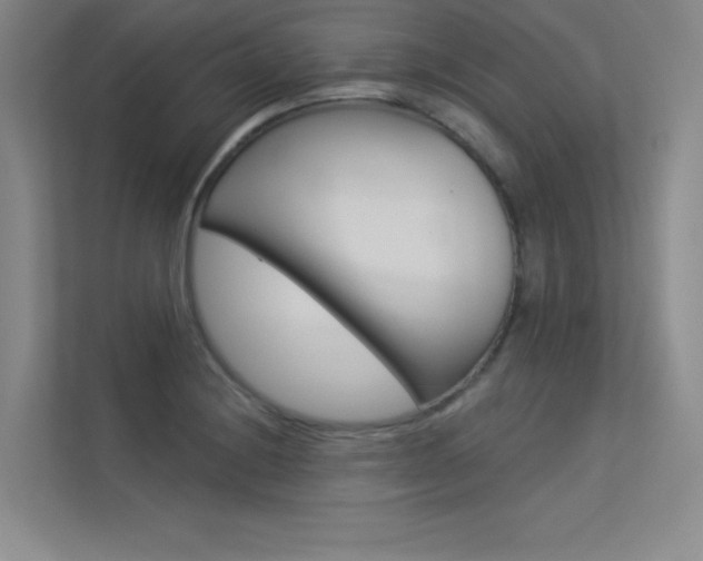 X0000113361228200909151000