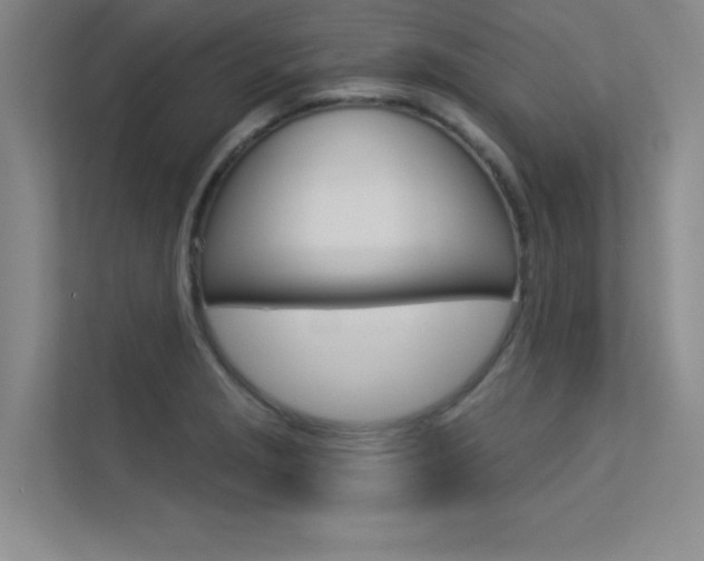 X0000113361229200909151000
