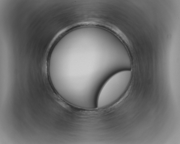 X0000113361232200909151000