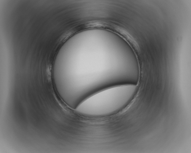 X0000113361233200909151000
