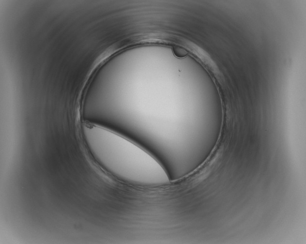 X0000113361234200909151000