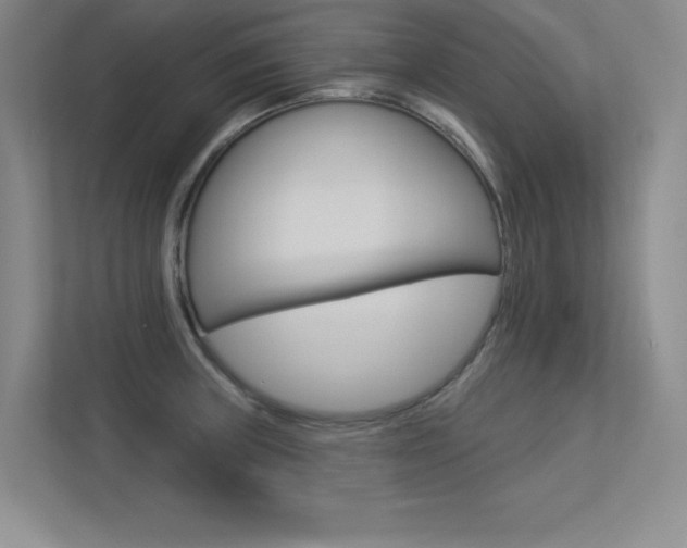 X0000113361235200909151000