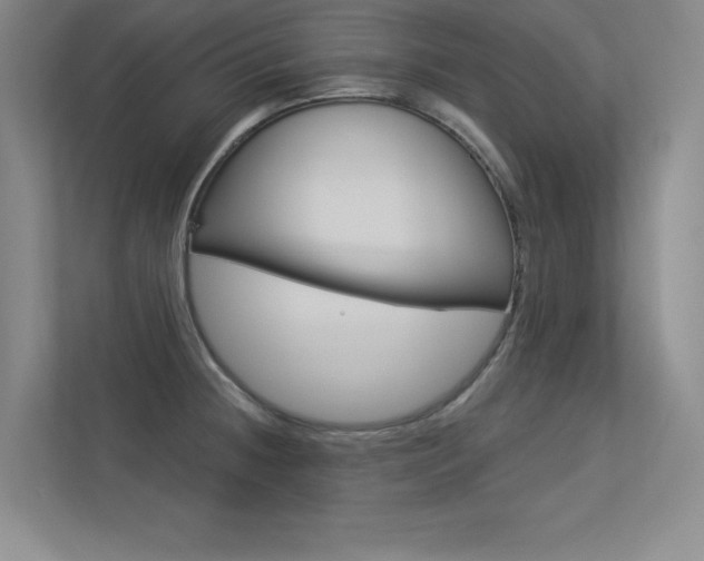 X0000113361236200909151000