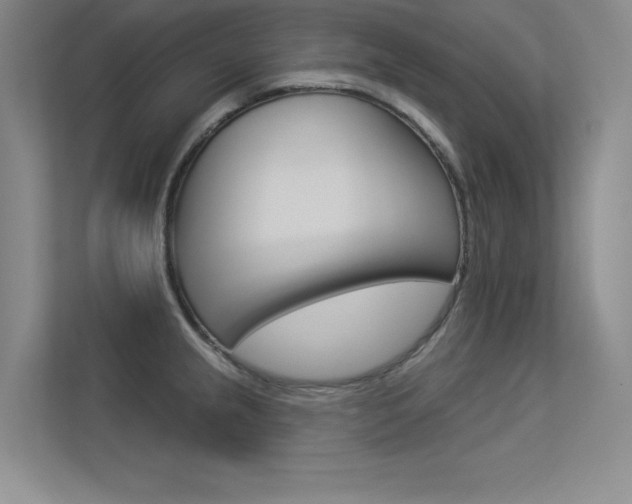 X0000113361237200909151000