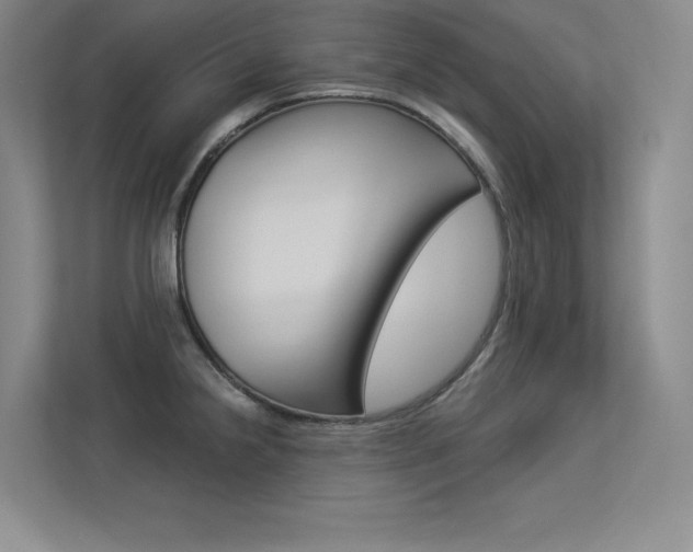 X0000113361238200909151000