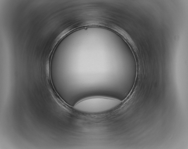 X0000113361242200909151000