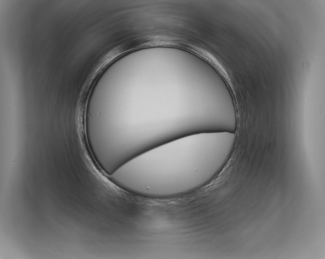 X0000113361243200909151000