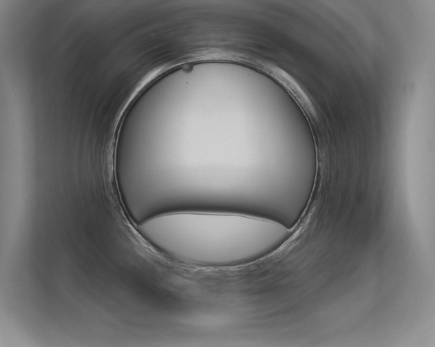 X0000113361244200909151000