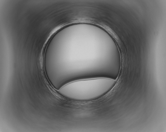 X0000113361246200909151000