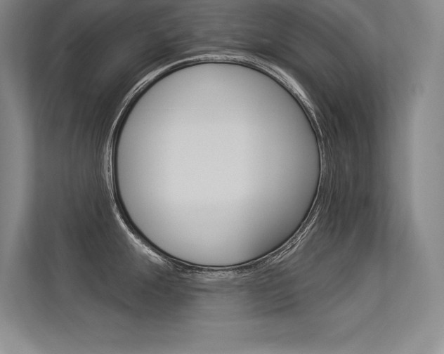 X0000113361247200909151000