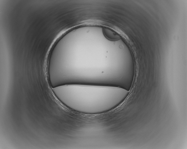 X0000113361248200909151000