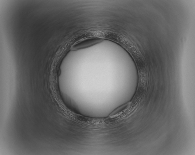 X0000113361249200909150959
