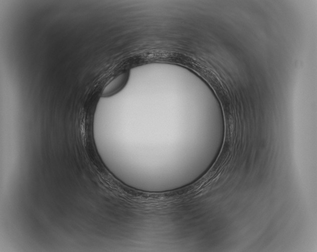 X0000113361250200909150959
