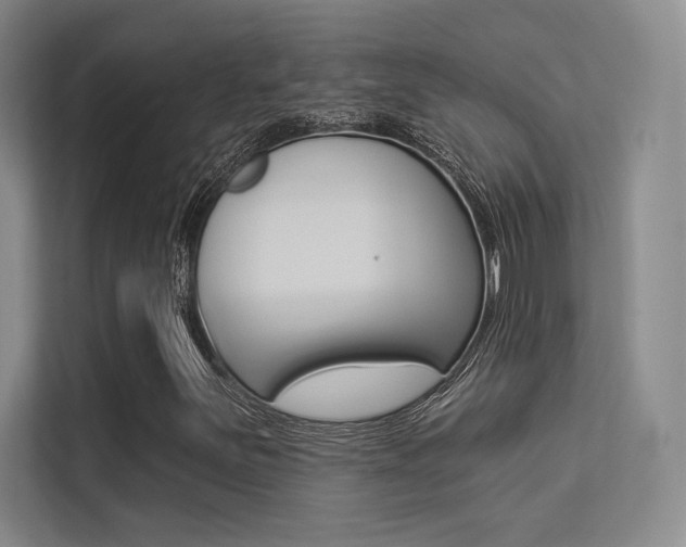 X0000113361251200909150959
