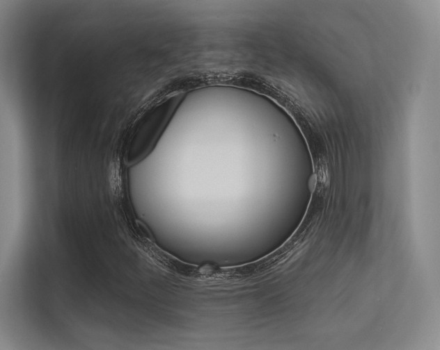 X0000113361252200909150959