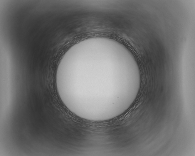 X0000113361253200909150959