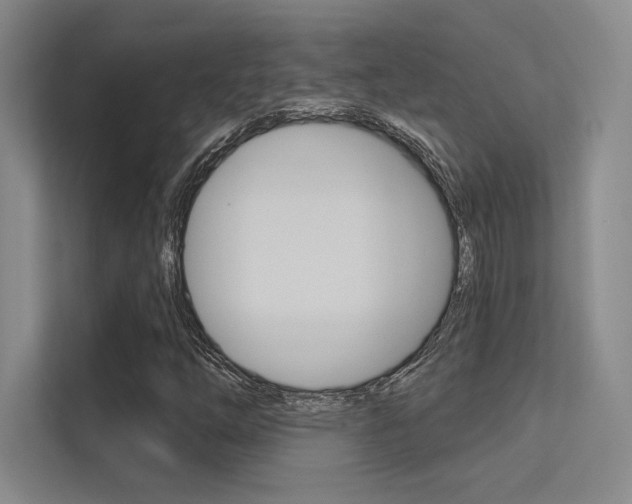 X0000113361254200909150959