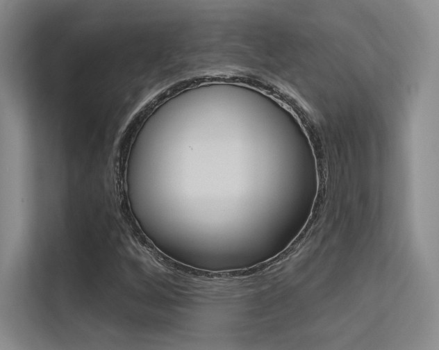X0000113361256200909150959