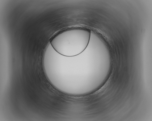 X0000113361257200909150959