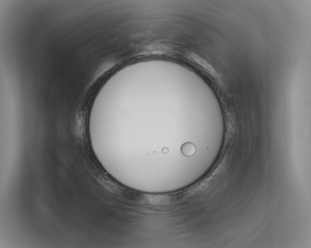 X0000113361258200909150959