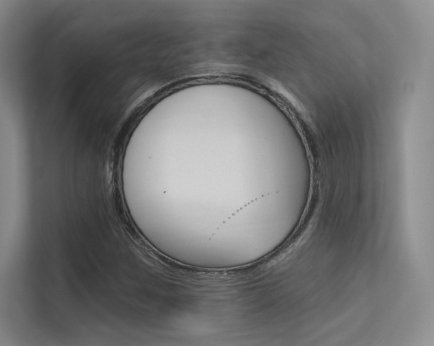 X0000113361259200909150959