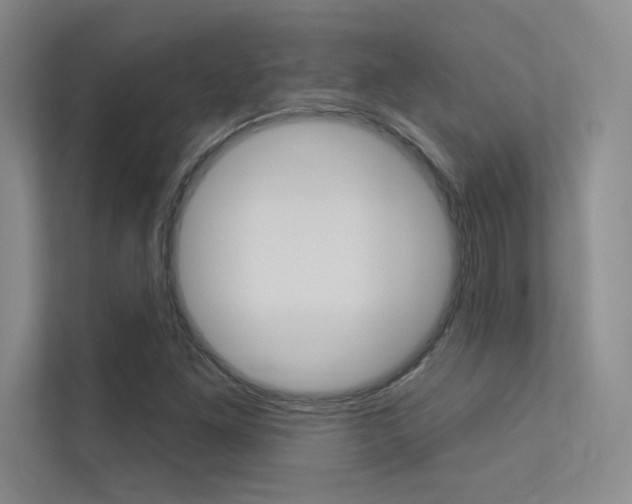X0000113361261200909150959
