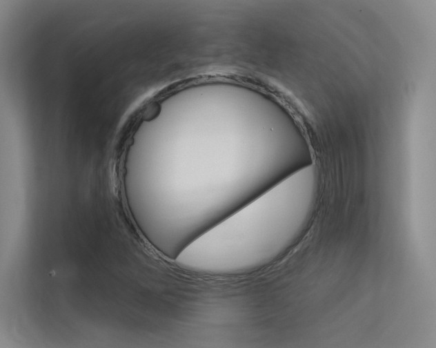 X0000113361262200909150959