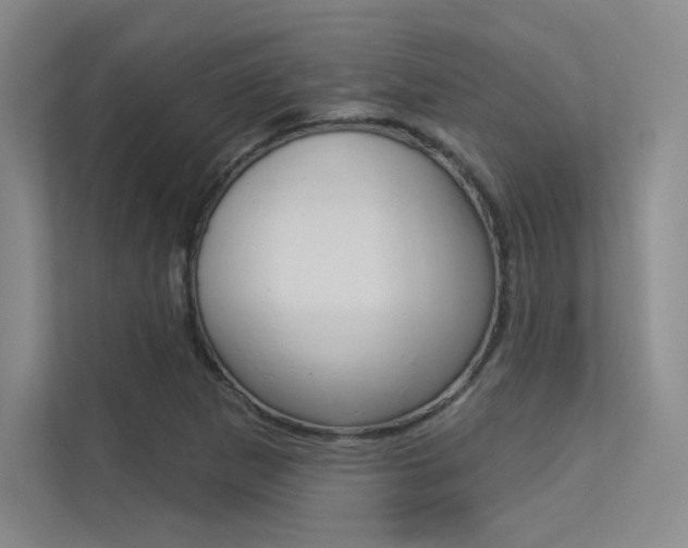X0000113361265200909150959