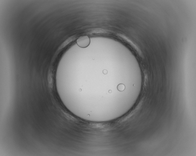 X0000113361266200909150959