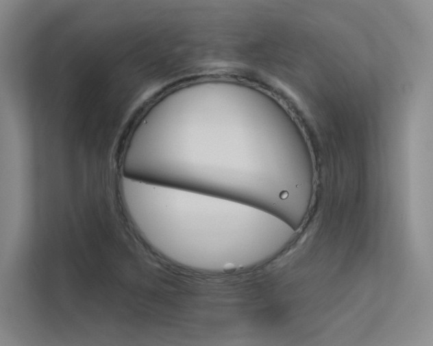 X0000113361267200909150959