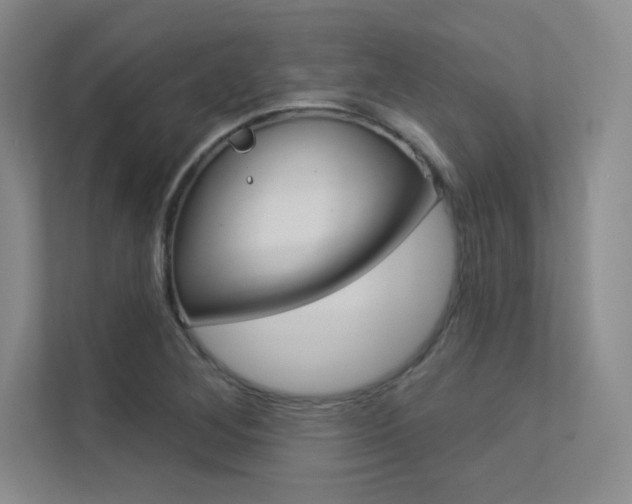 X0000113361268200909150959
