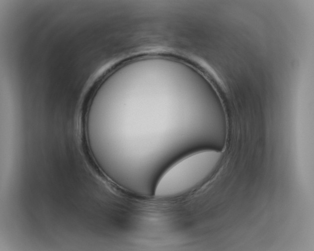 X0000113361270200909150959