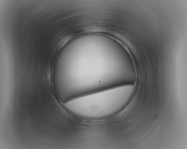 X0000113361273200909150959