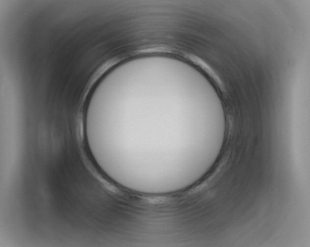 X0000113361274200909150959