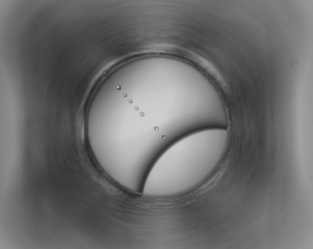 X0000113361275200909150959