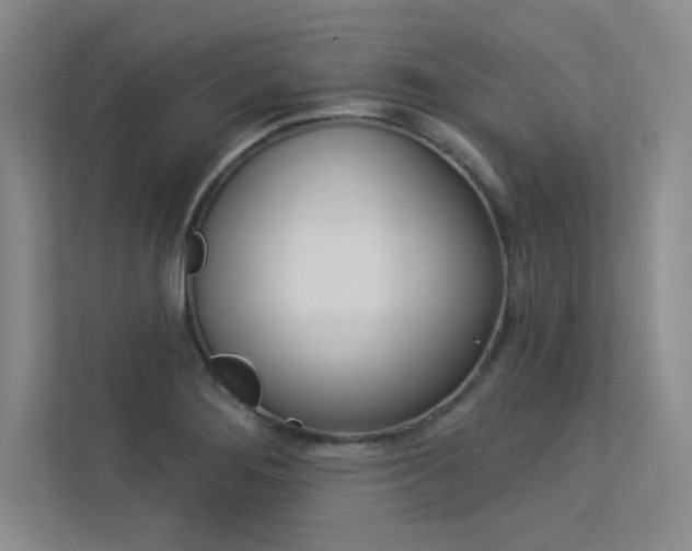 X0000113361276200909150959