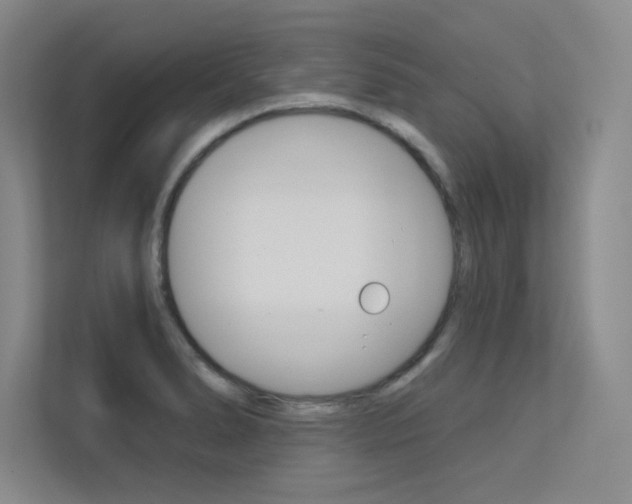 X0000113361278200909150959