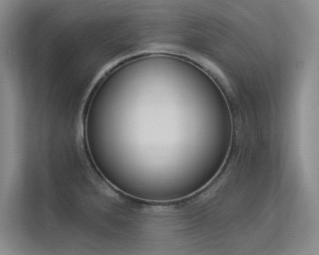 X0000113361280200909150959
