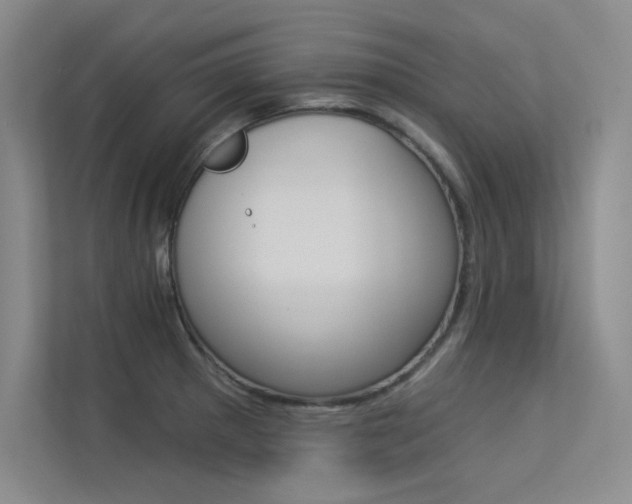 X0000113361281200909150959