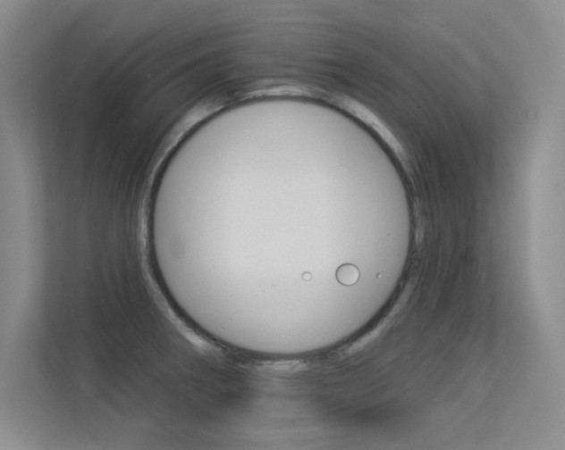 X0000113361282200909150959