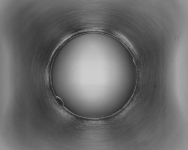 X0000113361284200909150959