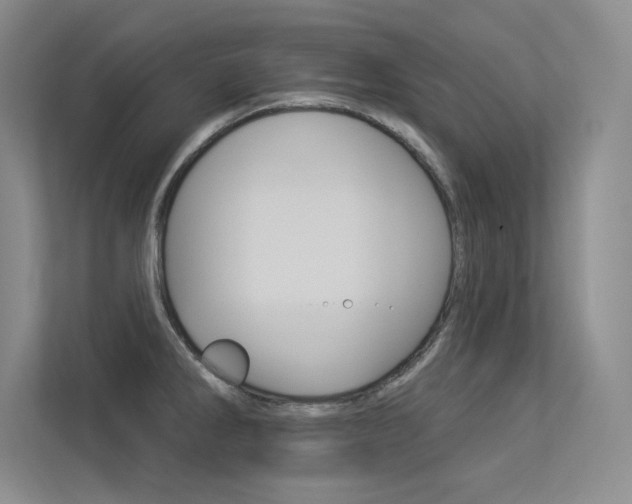 X0000113361286200909150959