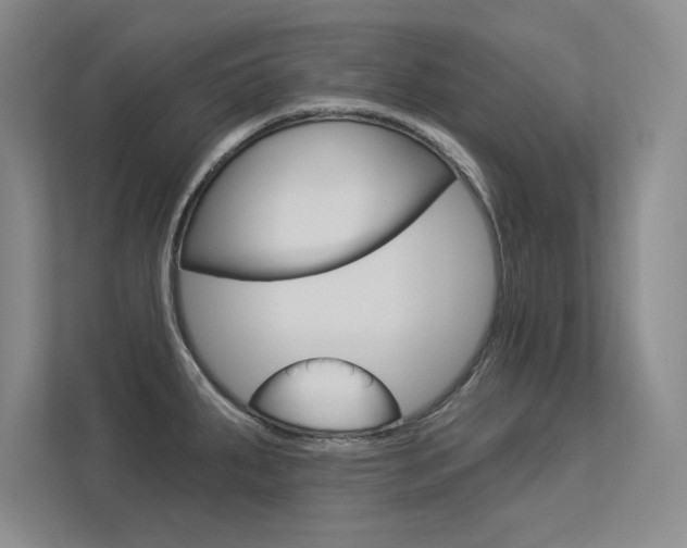 X0000113361287200909150959