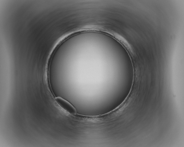 X0000113361288200909150959