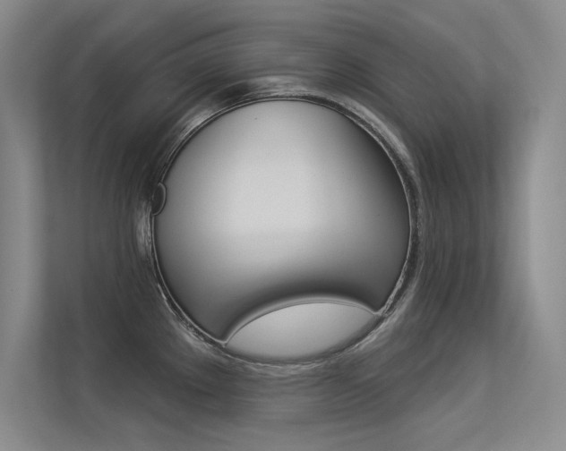 X0000113361289200909150959