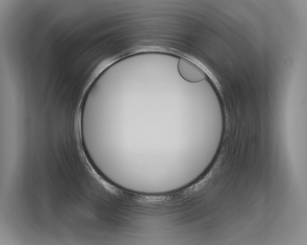 X0000113361290200909150959