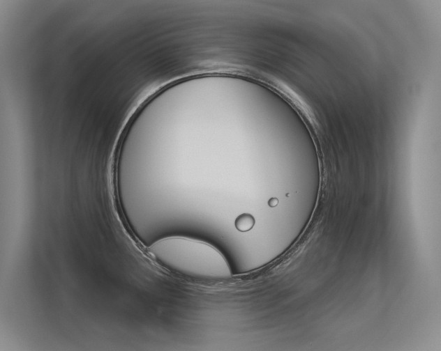 X0000113361291200909150959