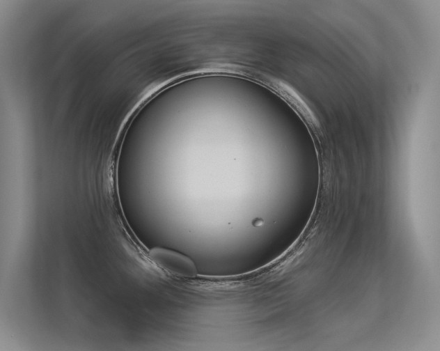 X0000113361292200909150959